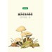 酷虫学校1 - 吵吵闹闹的甲虫班 (上) (Hanyu Pinyin)